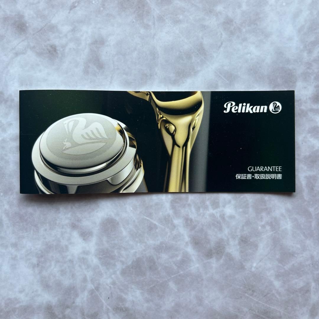 極美品　ペリカン　スーベレーン　m600 ｍ605 トータスシェルブラック　EF