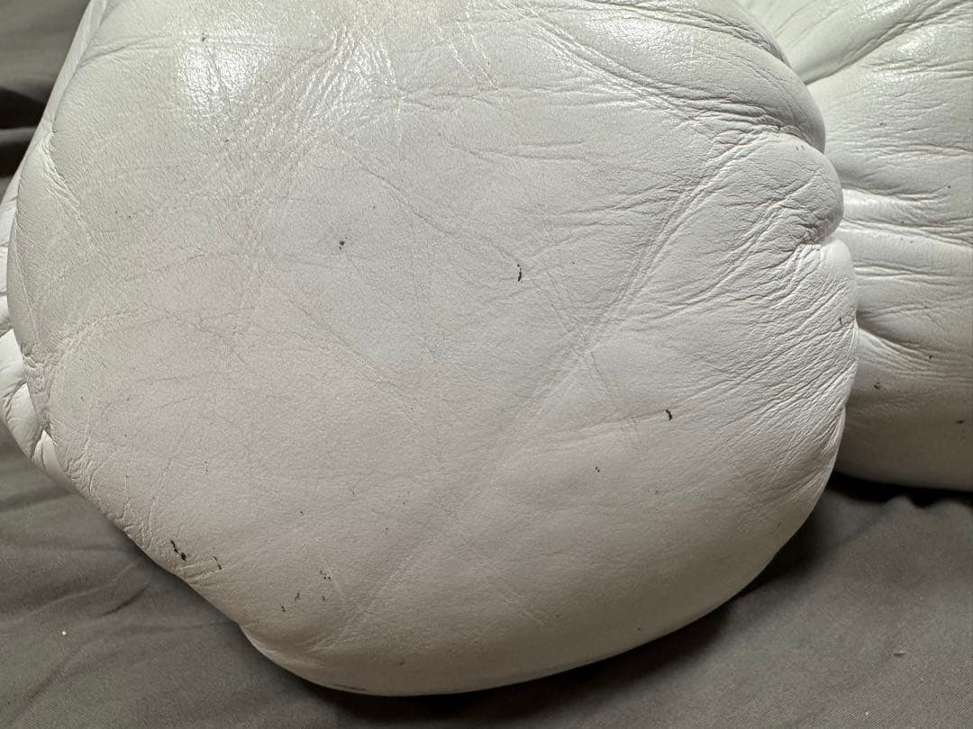 EVERLAST ボクシンググローブ ホワイト 10オンス