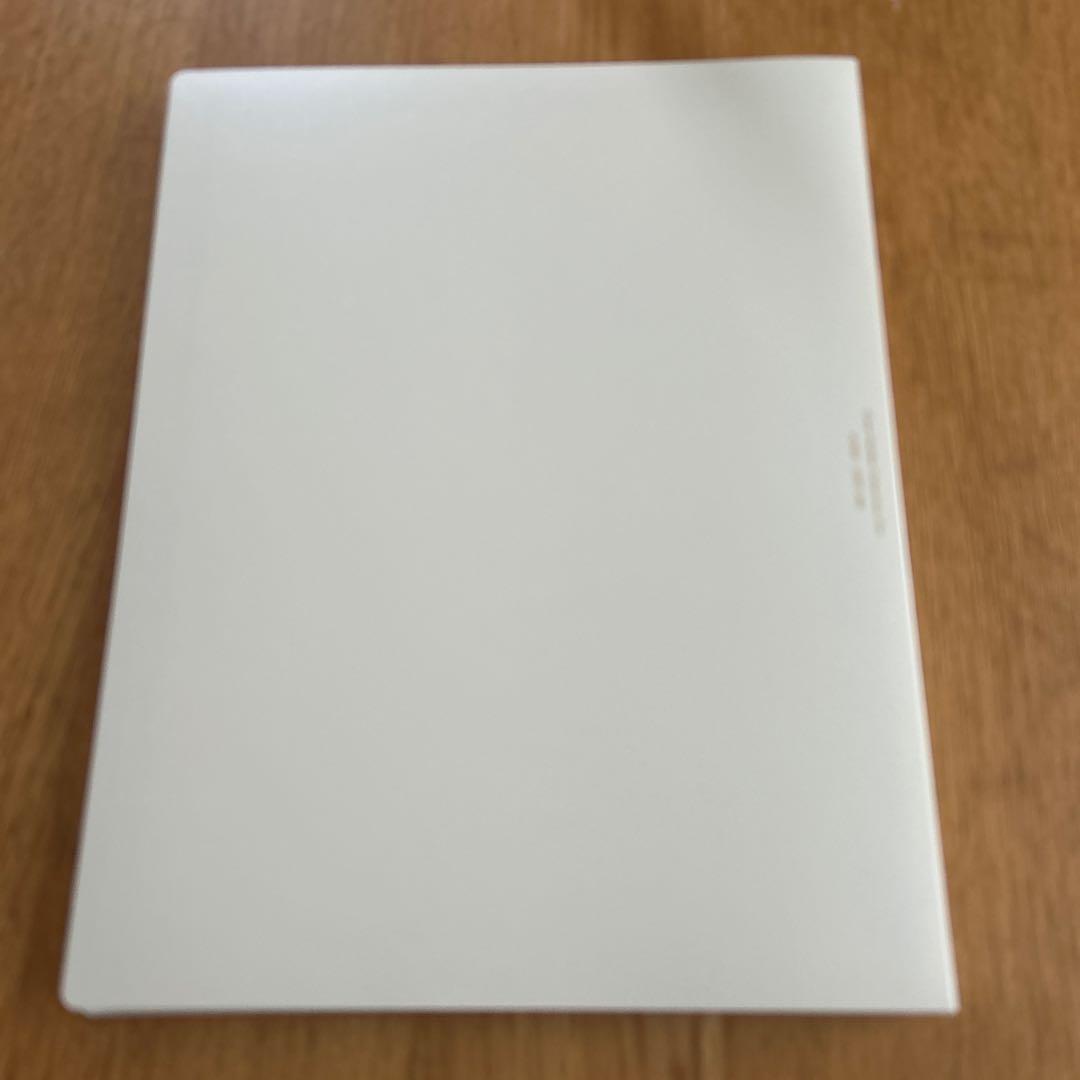 ビ*ビ様 囀る鳥は羽ばたかないクリアファイル19枚セット