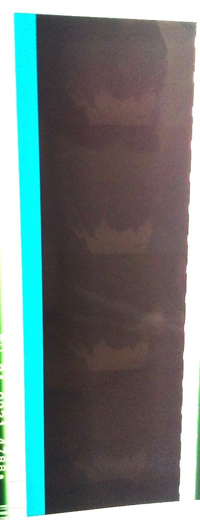 希少コマ　ヴァイオレット　エヴァーガーデン　入場特典フィルム２