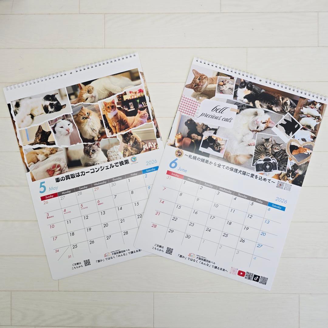 ③《猫》壁掛けチャリティーカレンダー10枚セット