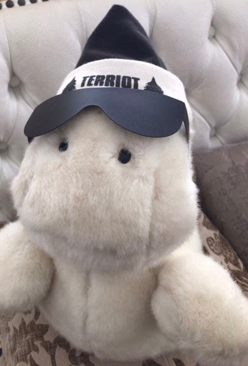 激レア☆サンアローオバケのテリオットぬいぐるみ☆