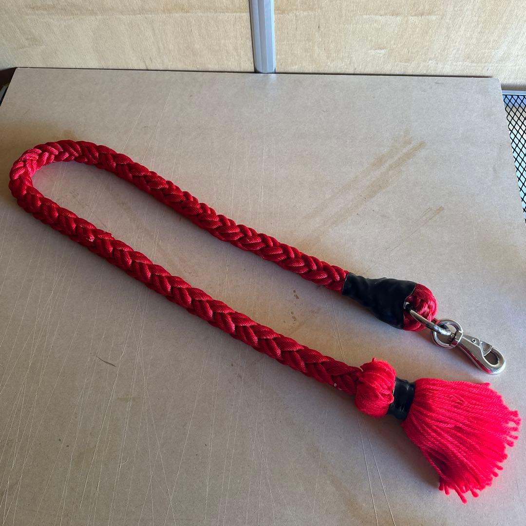 土佐犬　土佐闘犬　超大型犬　化粧引き綱