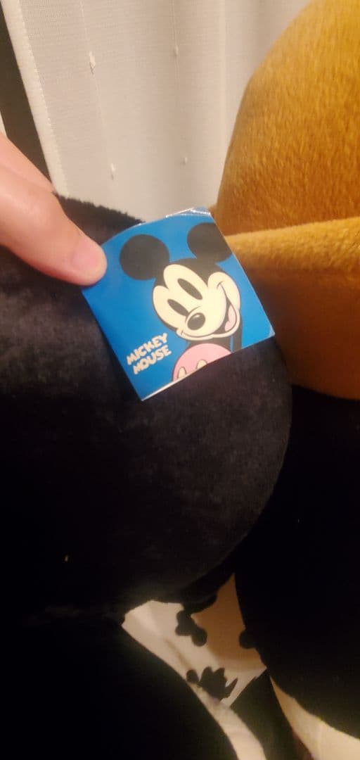 香港ディズニー　巨大ぬいぐるみ　ミッキーミニー