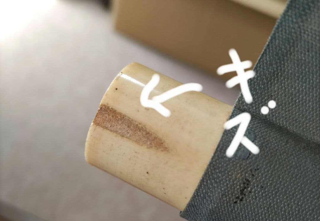 松竹梅鶴の図　石川有隣　Y250