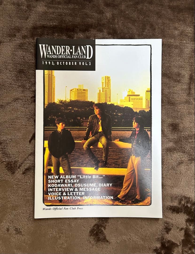 WANDS ファンクラブ 会報誌vol.1～14 おまけ付き