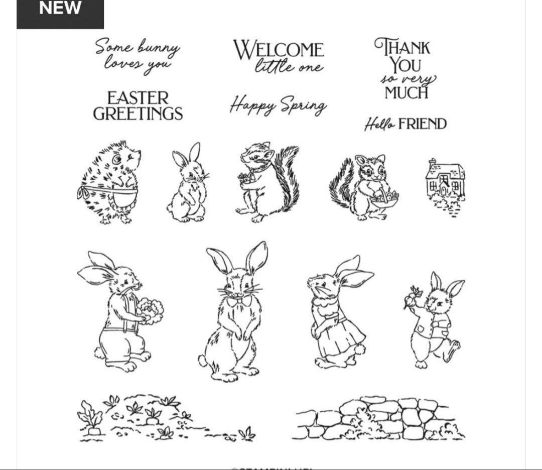 ラスト1点限り新作♡未使用　一押しフレームダイと絵本スタンプ　スタンピンアップ