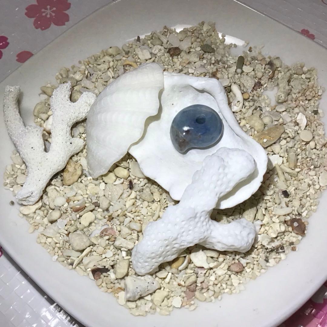 【専用】コン沢翡翠　ニノ型　可愛い過ぎる5つ子③（1番左の 子）