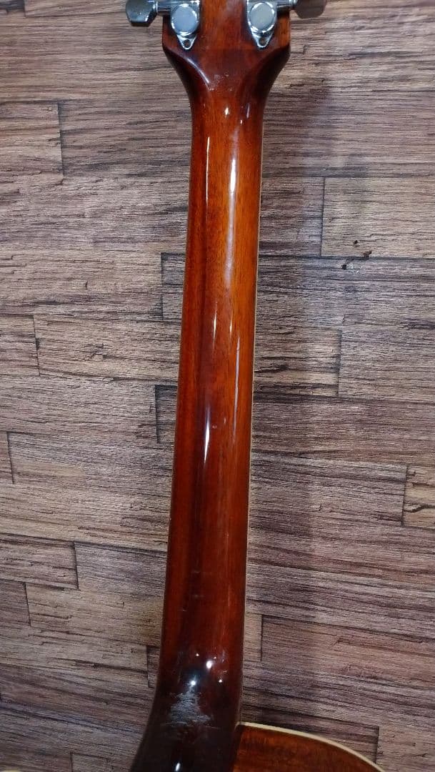 Washburn d10sce　エレアコ