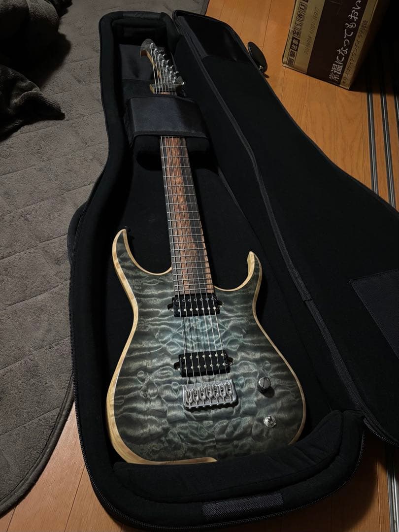 ギター Skervesen Raptor7