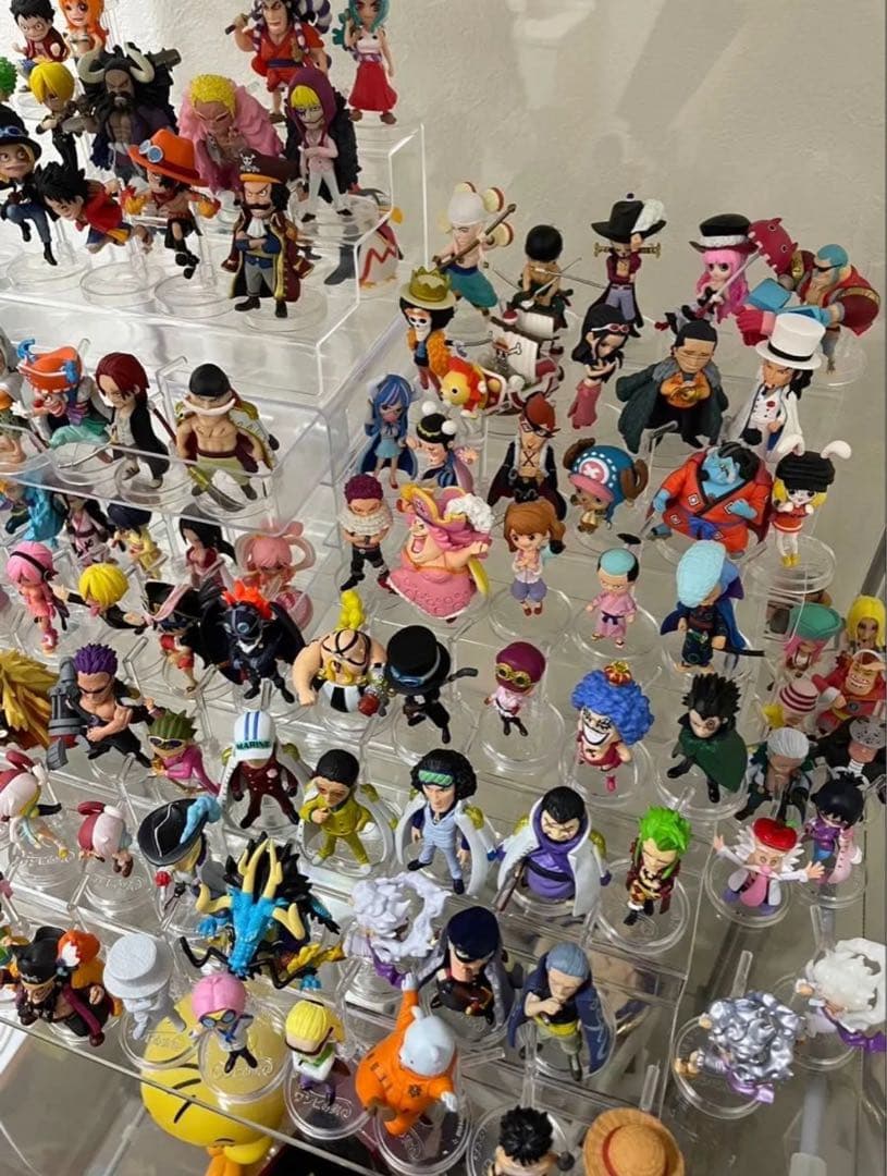 ワンピース　ワンピの実　113個