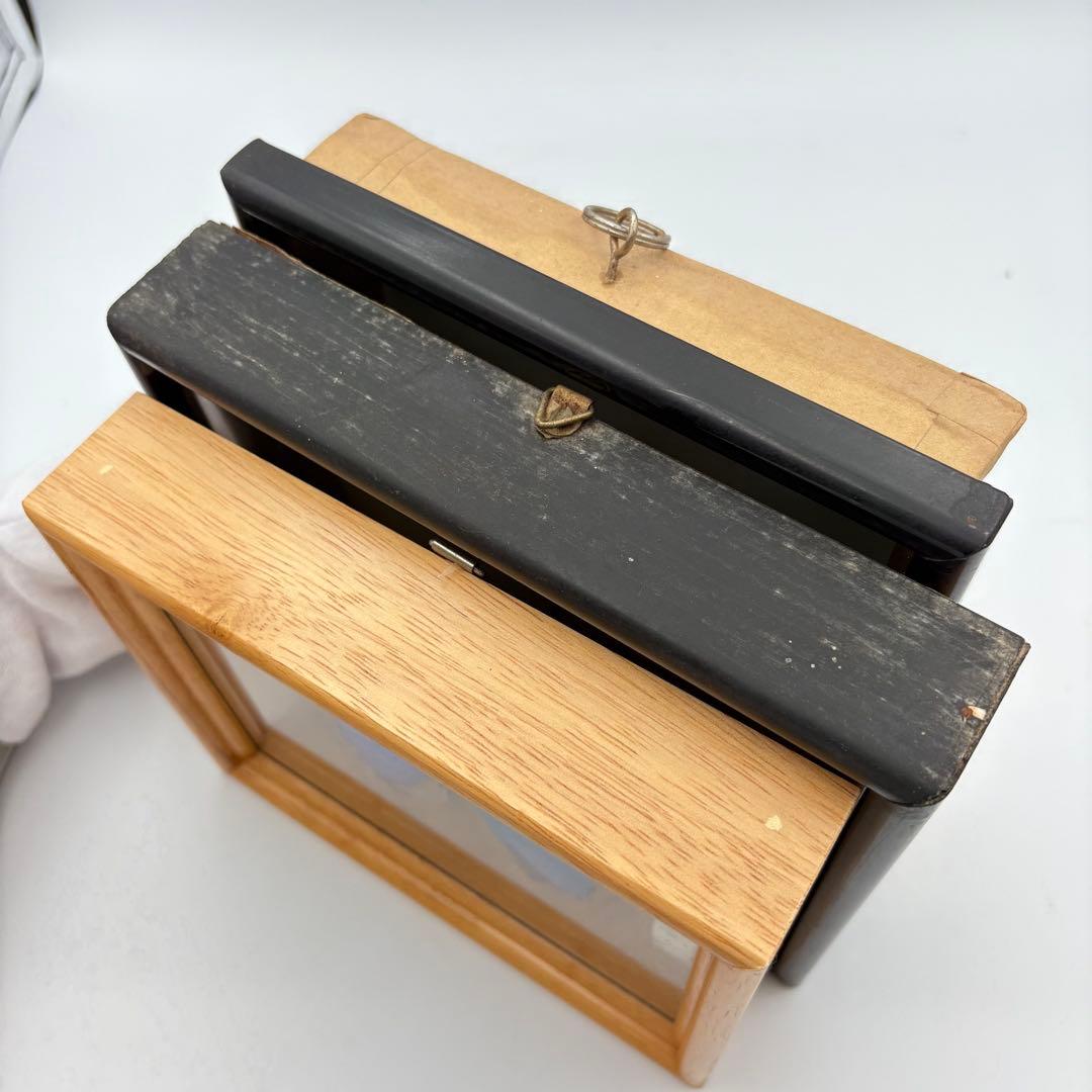 蝶々 標本 まとめ売り アゲハ グリーン ブルー 0613-S6299s