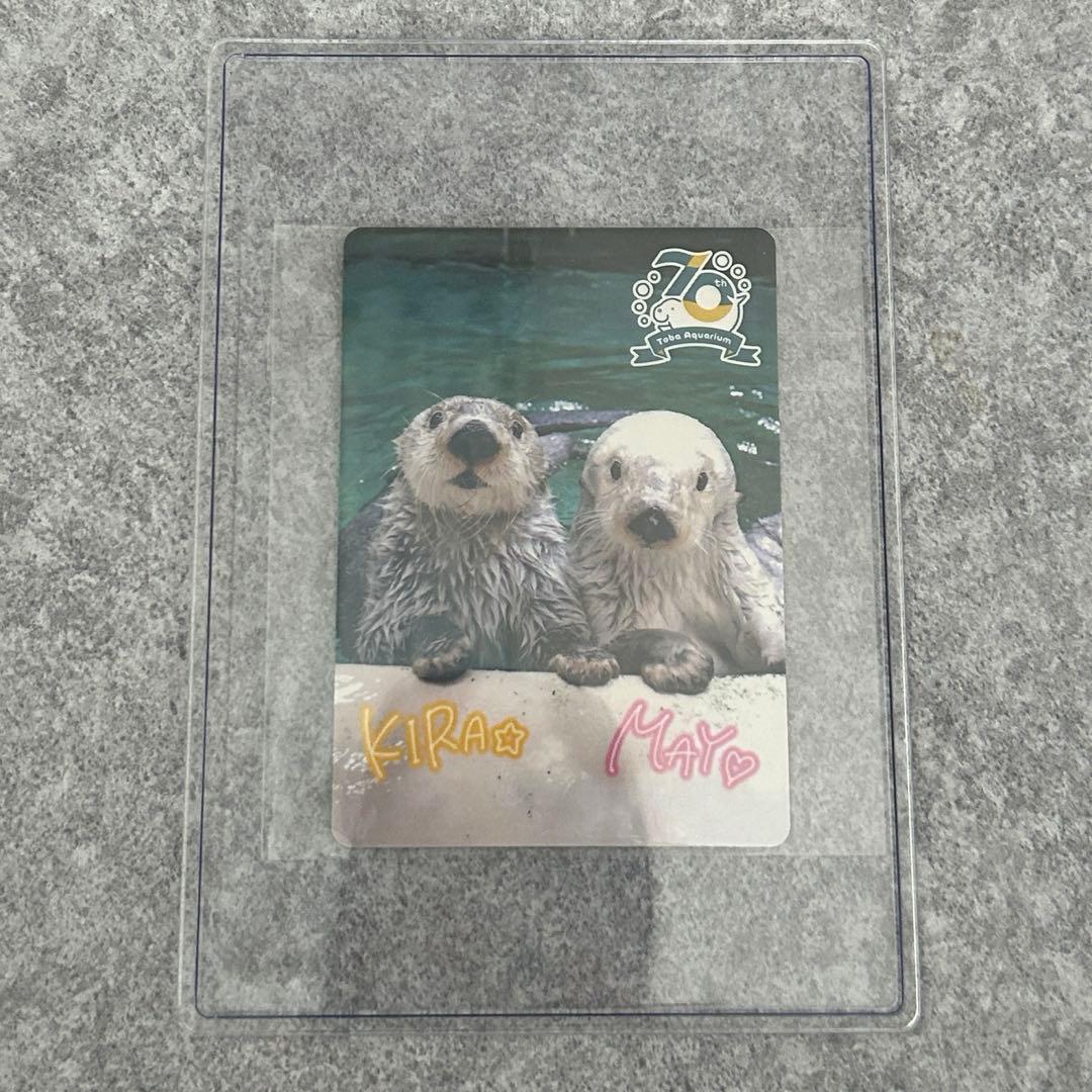 鳥羽水族館 コレクションカード レアカード ラッコ