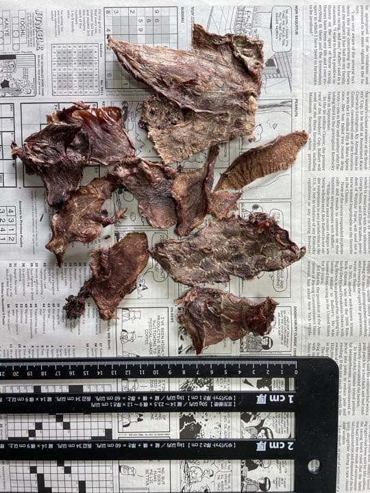 確認用　サイズの参考にしてください