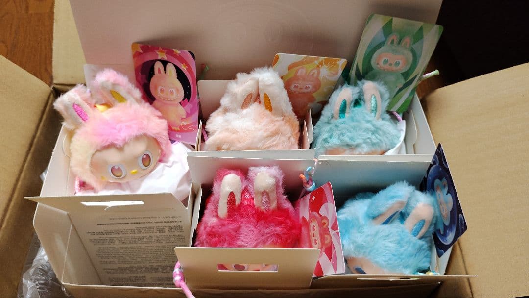 正規品・Labubu Big into Energy開封　5種セット