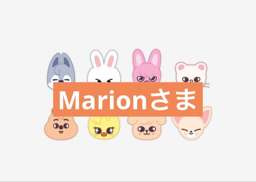 Marionさま専用 straykidsグッズ