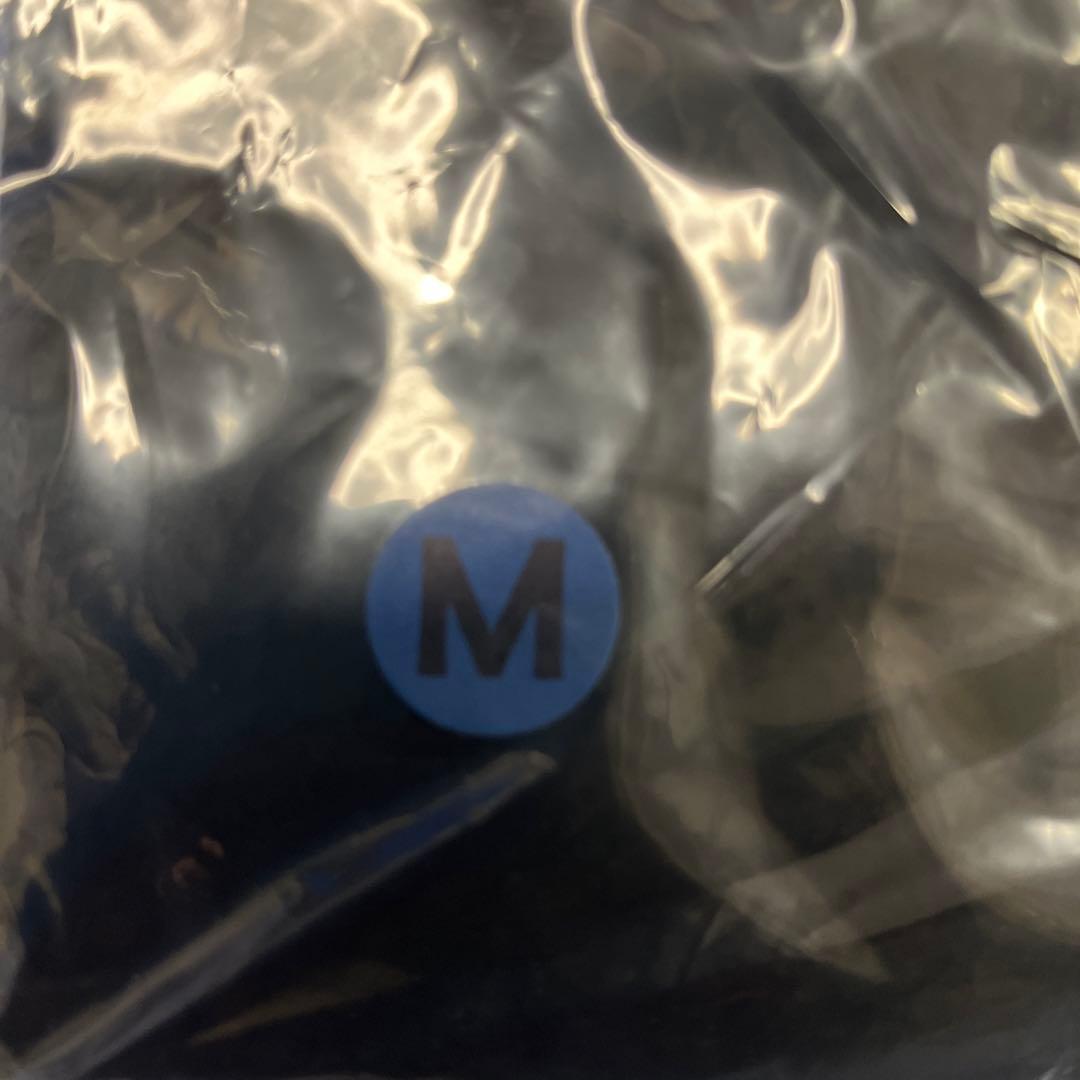 【希少！】氷室京介　リベンジTシャツ　M 未開封