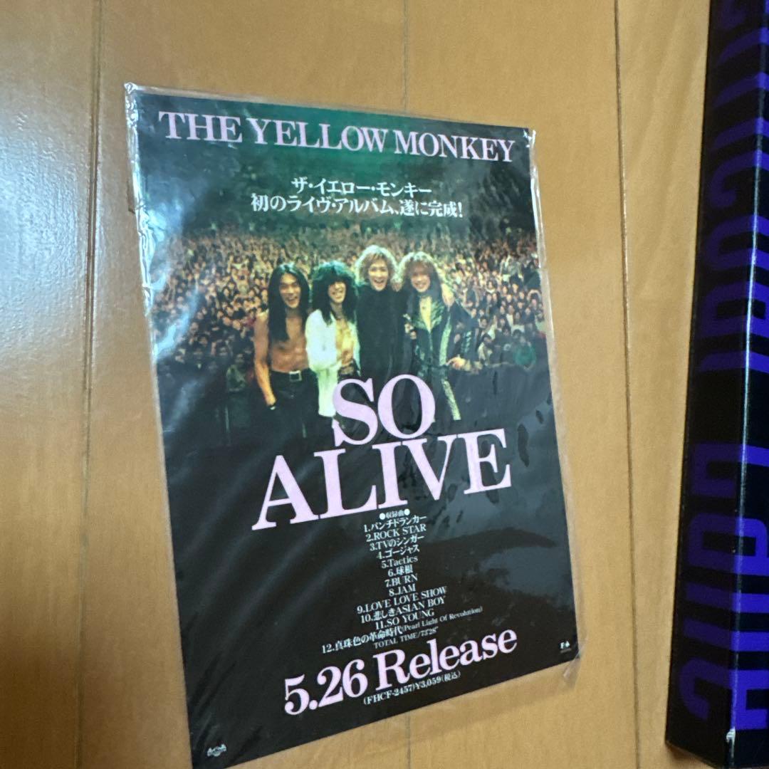 THE YELLOW MONKEY 会報　ツアーパンフ　写真集　まとめ売り