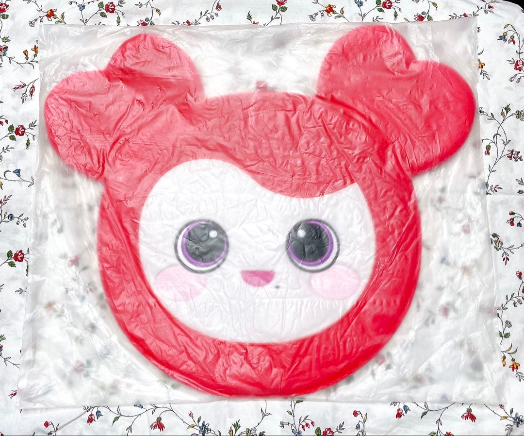 TWICE チェヨン うちわ うちわケース