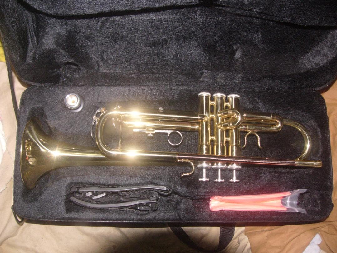 超激安特価！生産終了品 ・ENNBOM バックスタイルモデル Tp（新古品級）