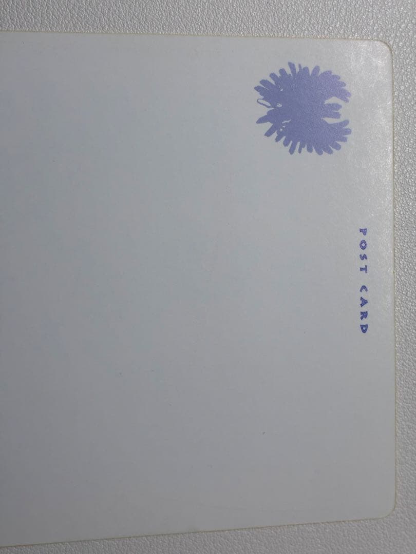 ◎ 現物 ポケモンカード トロピカルプレゼント　会員限定 ハガキ プレイヤーズ