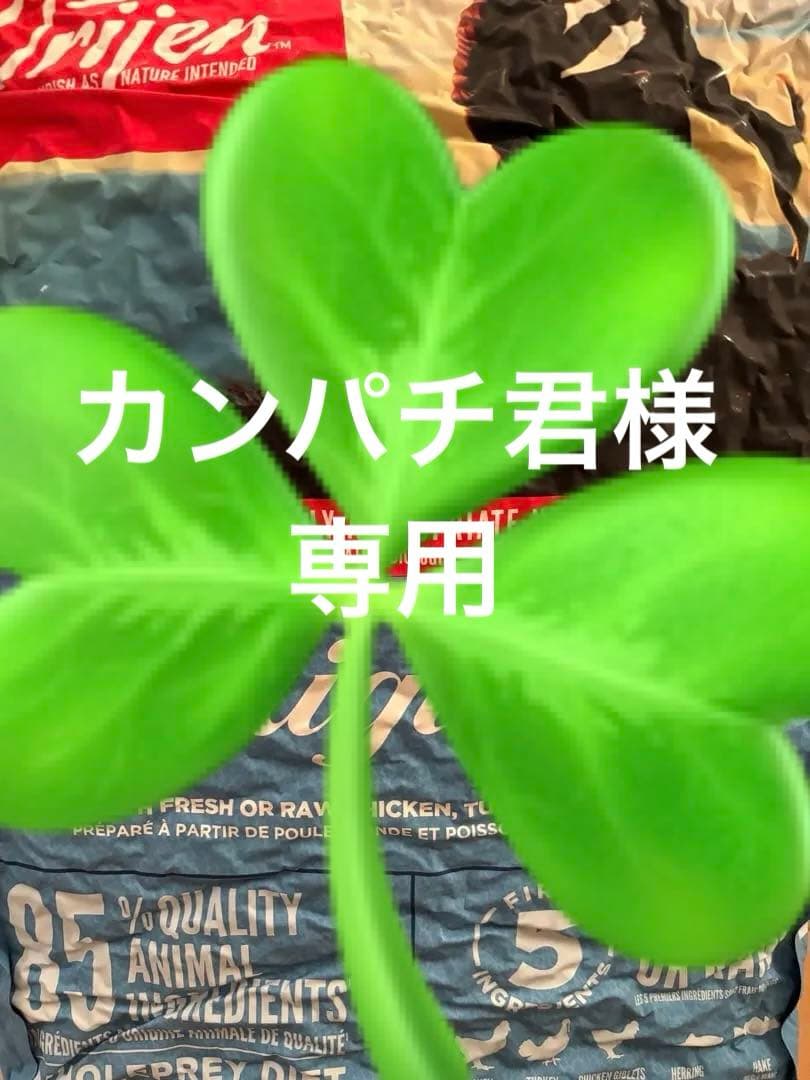 Orijen オリジナル　ドッグフード 11.4kg