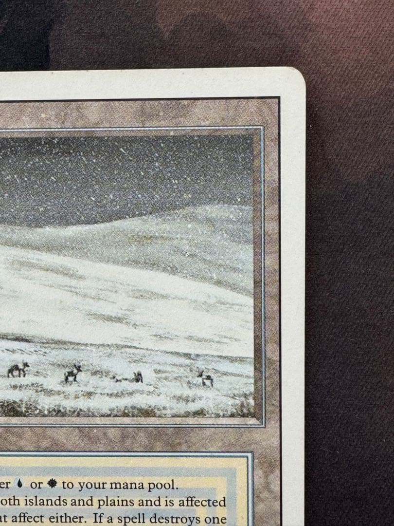 マジック：ザ・ギャザリング Tundra 3ED Revised