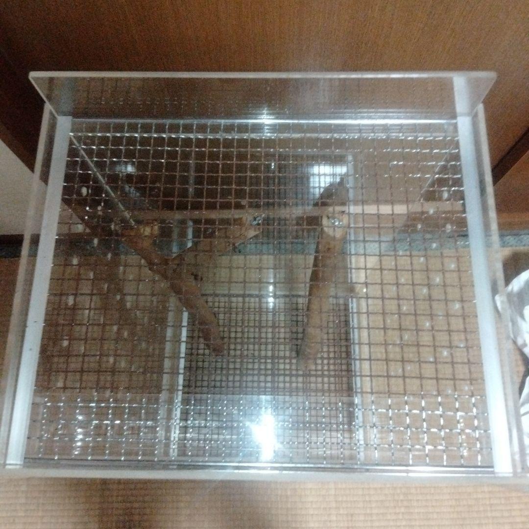 モモンガ用　アクリルケージ