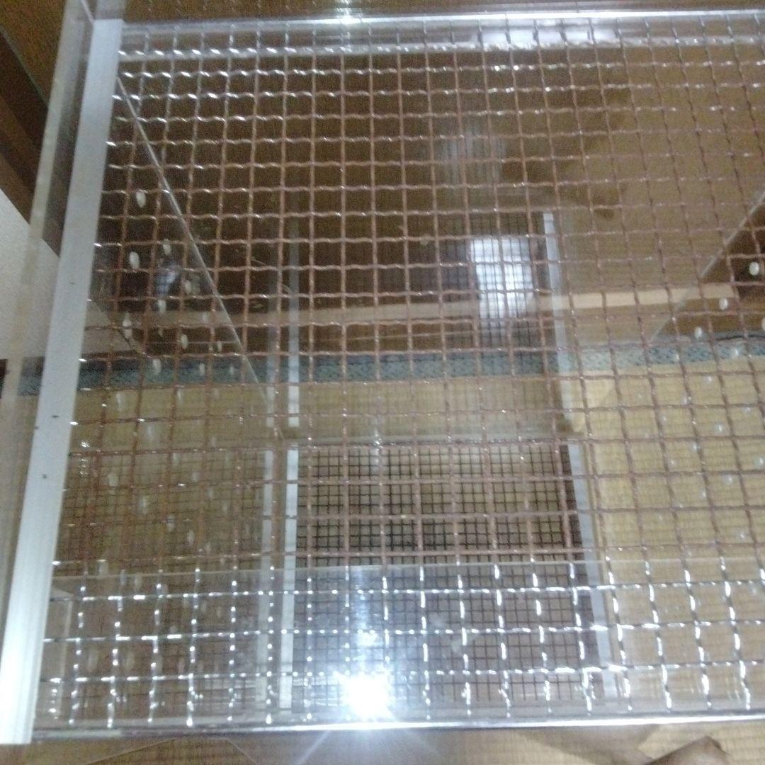 モモンガ用　アクリルケージ