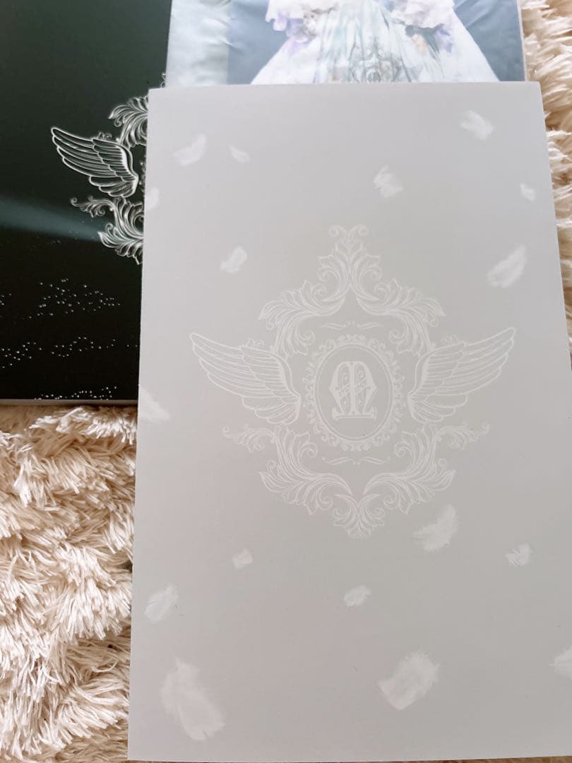 渡辺麻友 卒業コンサート DVD 〜みんなの夢が叶いますように〜AKB48まゆゆ