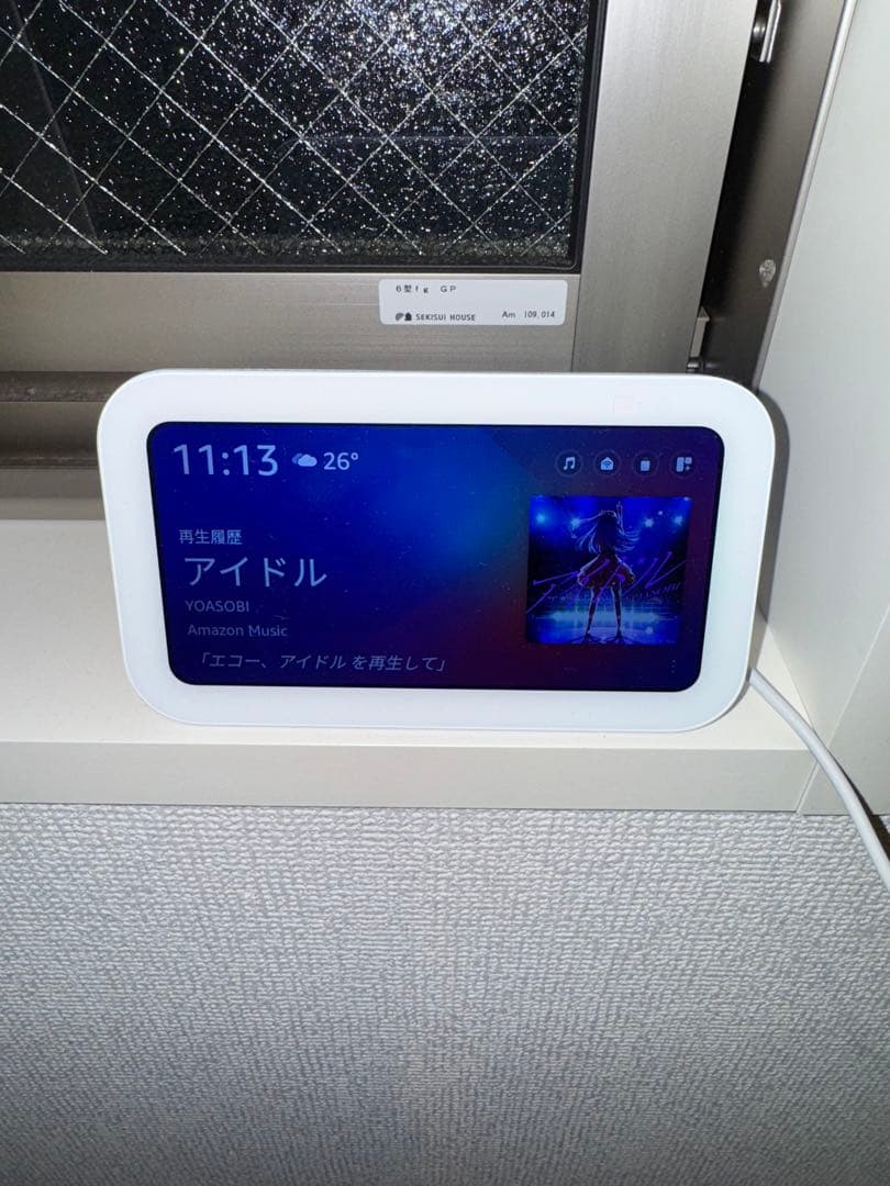 エコーショー5３世代とリモミニ2のセット　美品