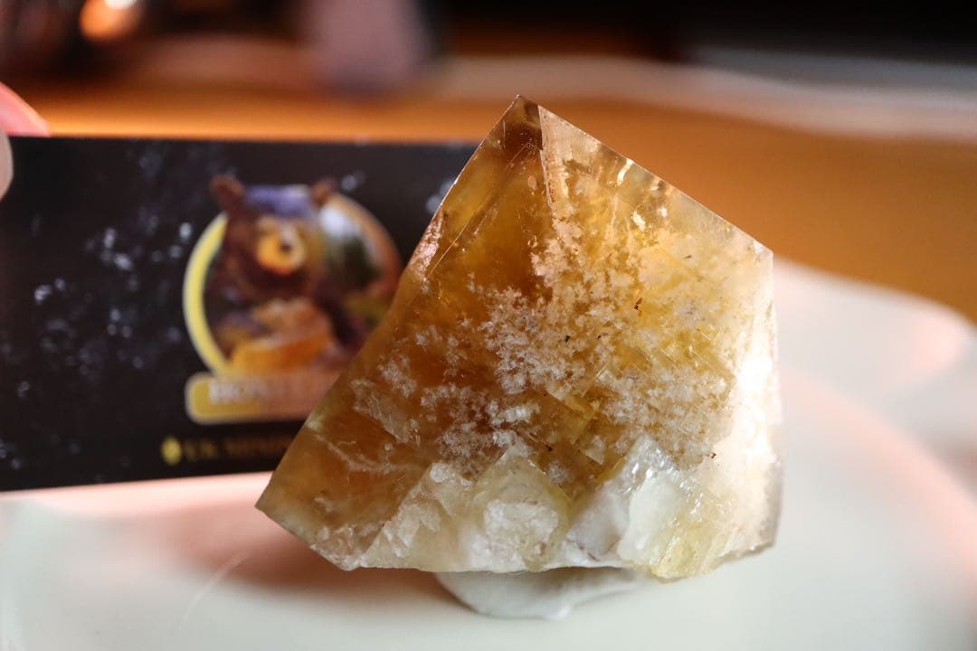 Honey Bear Pocket フローライト