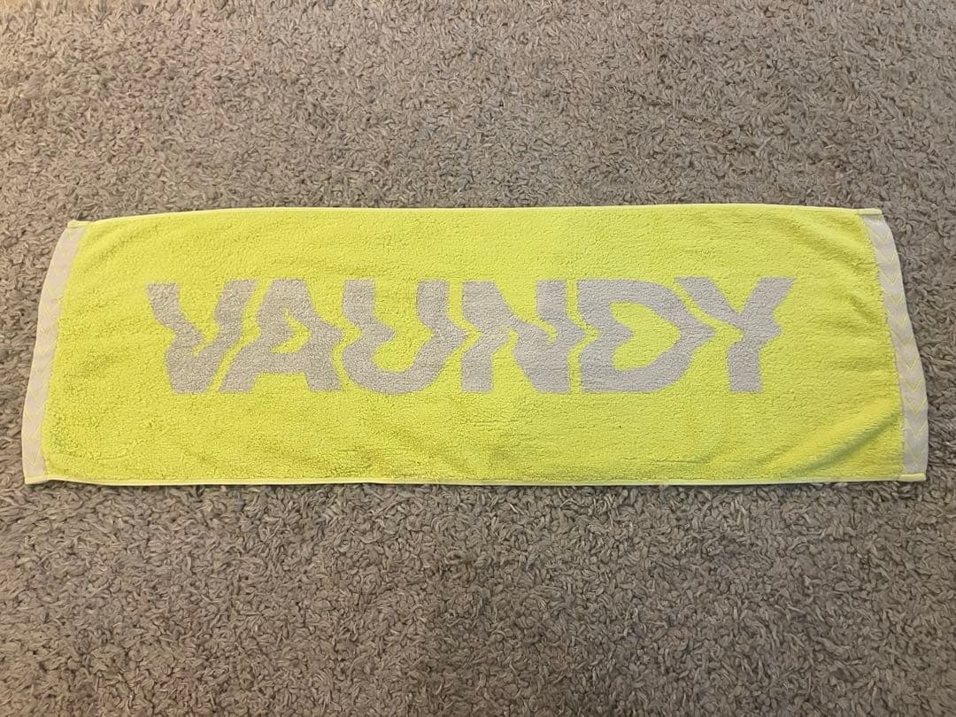 Vaundy バウンディ 武道館 深呼吸 タオル