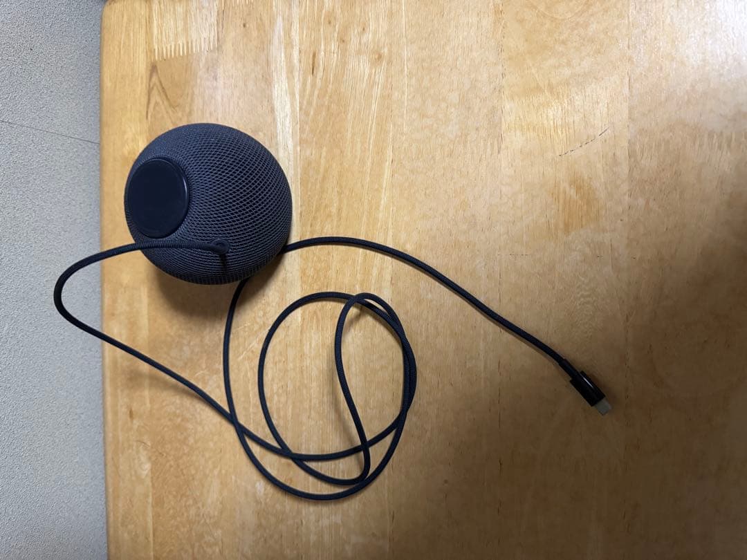 Apple Pod mini スペースグレー