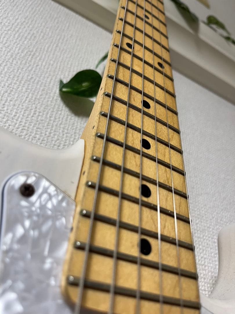 FUJIGEN(FGN) NST11MAH-WB フジゲン 富士弦