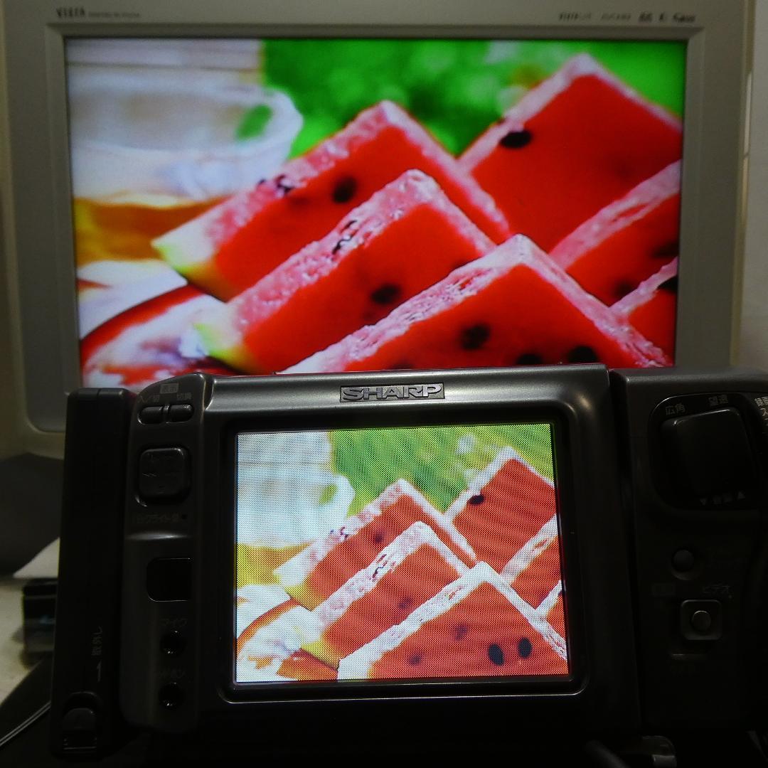 動作良好 シャープ VL-DC1 MiniDV ビデオカメラ DVD化に最適 !