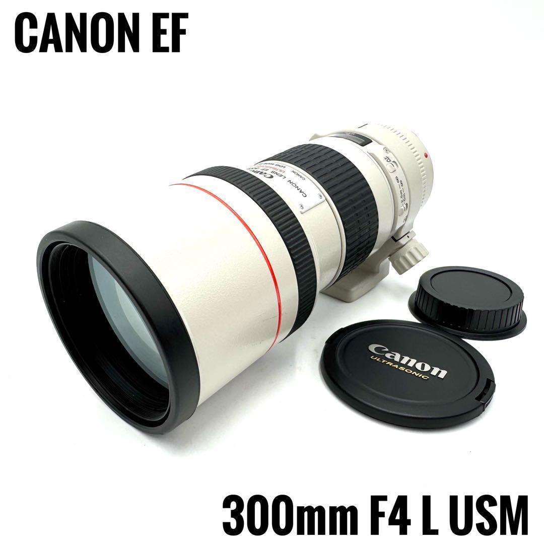 美品！CANON EF 300mm F4 L USM キャノン 単焦点レンズ