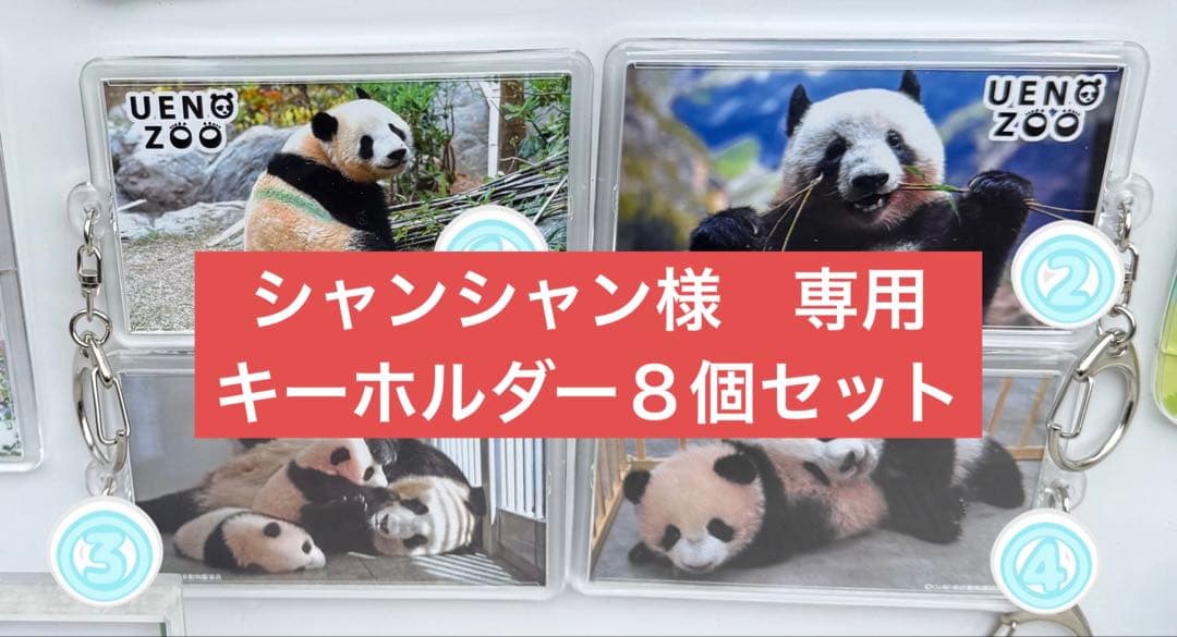 【シャンシャン】キーホルダー８個セット