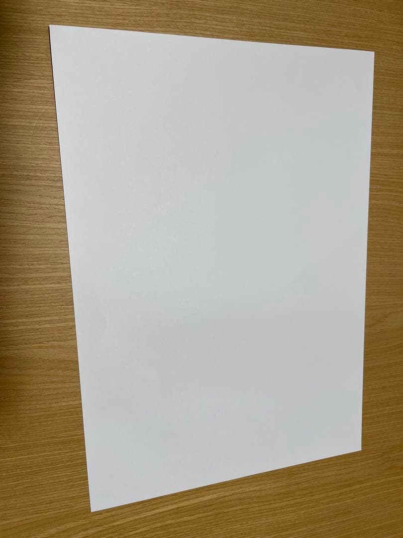 弱虫ペダル　懸賞　当選品　複製原画　複製原稿　非売品　激レア　10名　2枚セット