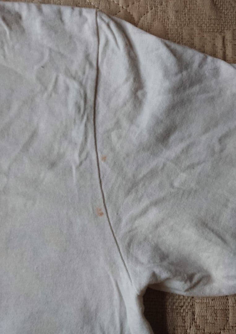 REN & THE STIMPY ビンテージ MTV Tシャツ VINTAGE