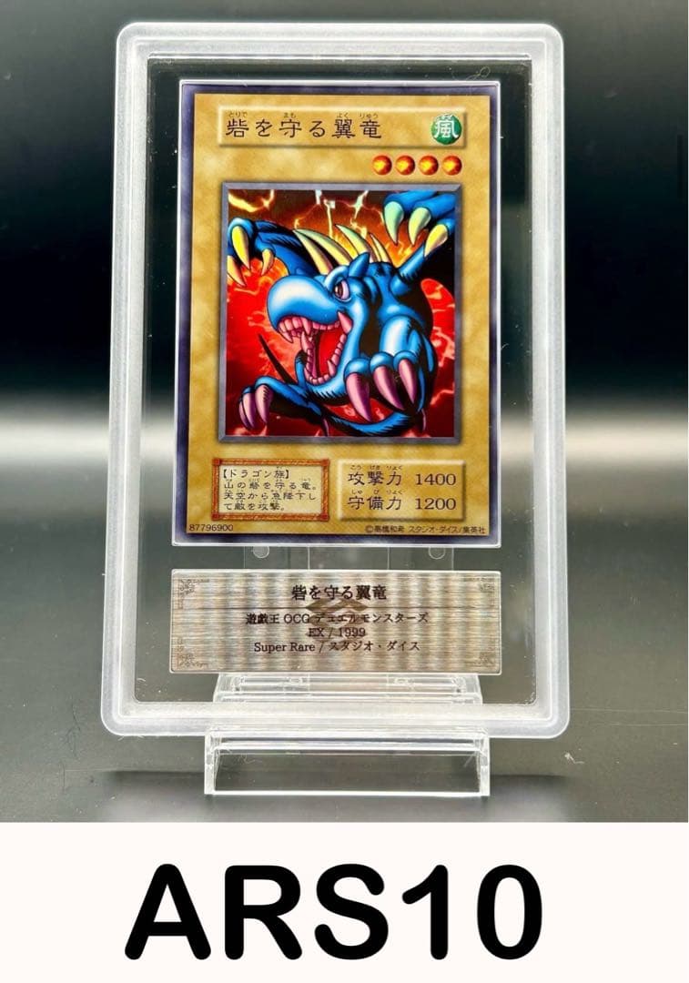 【遊戯王】砦を守る翼竜　ARS10