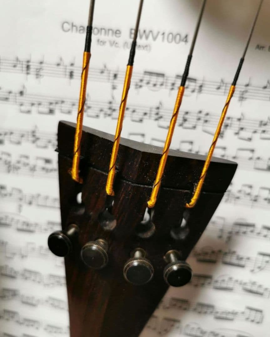 【チェロ】マグナコア 使用１ヶ月 まだまだ使用出来ます