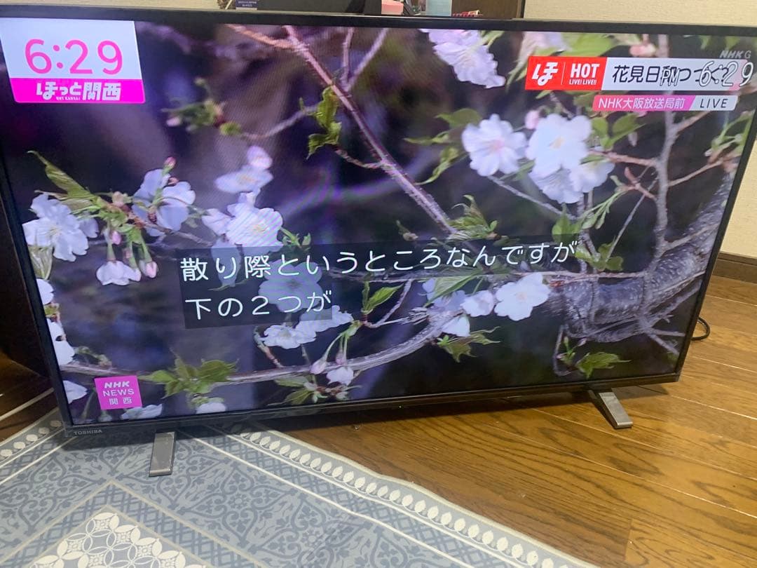 REGZA 40v34 40型　液晶テレビ　2022年製