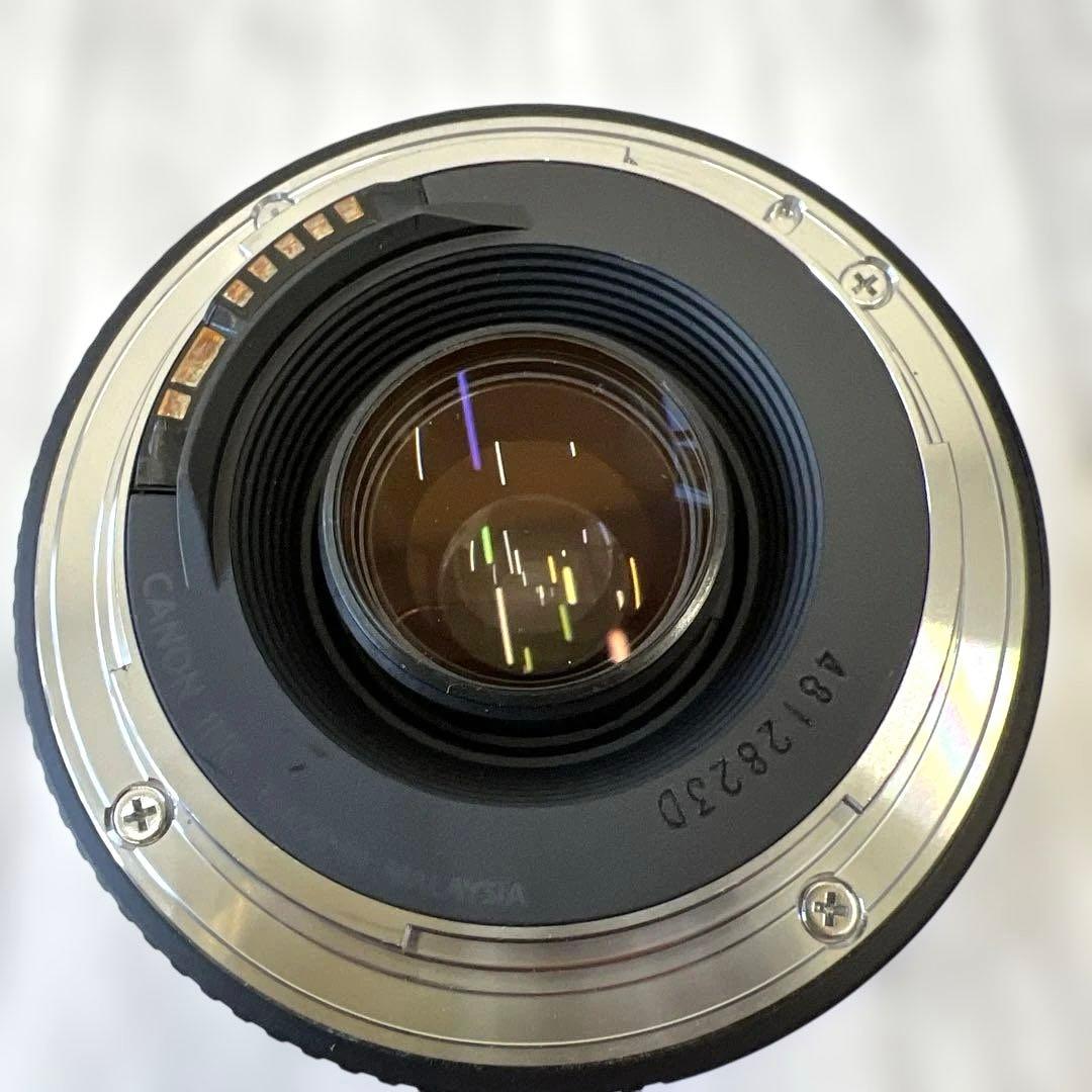 Canon 75-300mm ズームレンズ