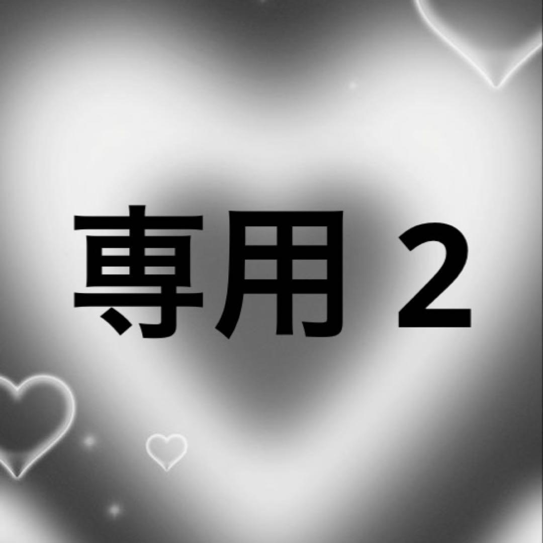 専用2