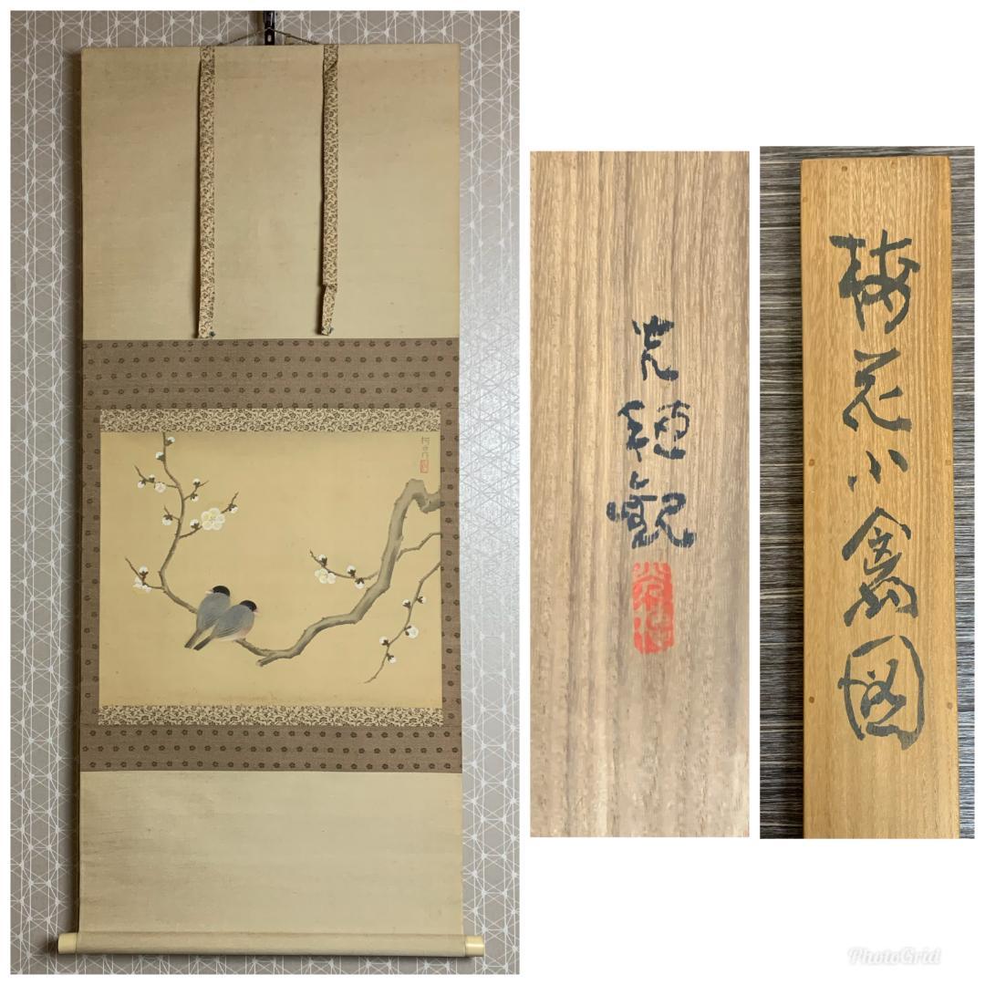 小林柯白 梅花小禽図 絹本肉筆 掛軸 光穂識箱 安田靫彦師事 842