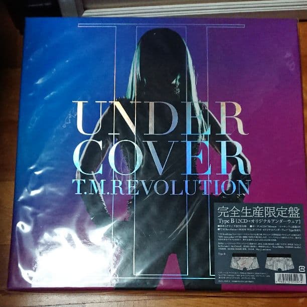 ミュージシャン T.M.Revolution