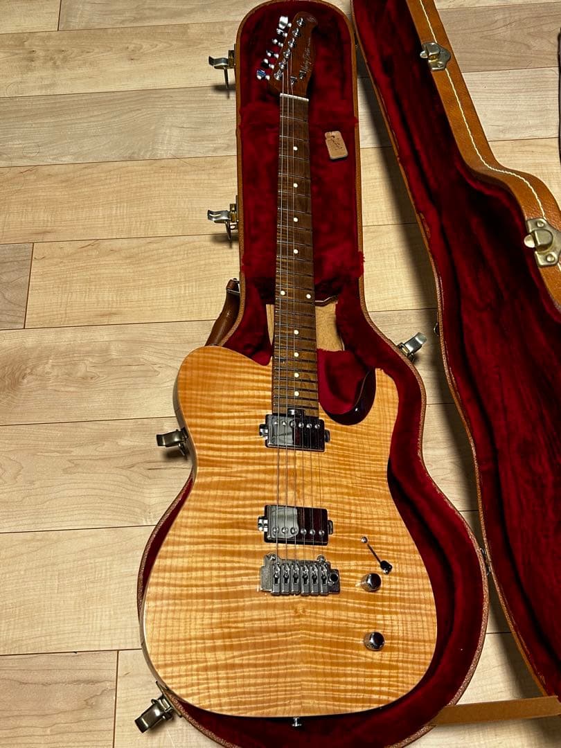 ギター Harley Benton Fusion-T HH Roasted