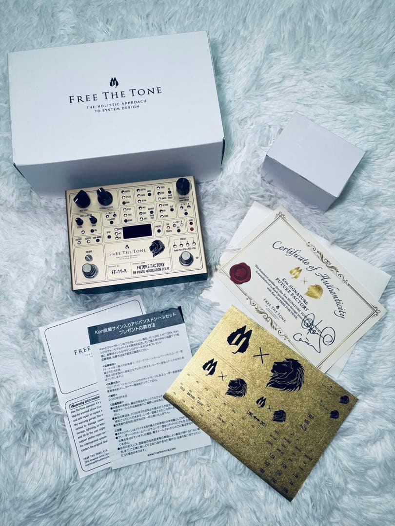 ギター FUTURE FACTORY FF-1Y-K free the tone