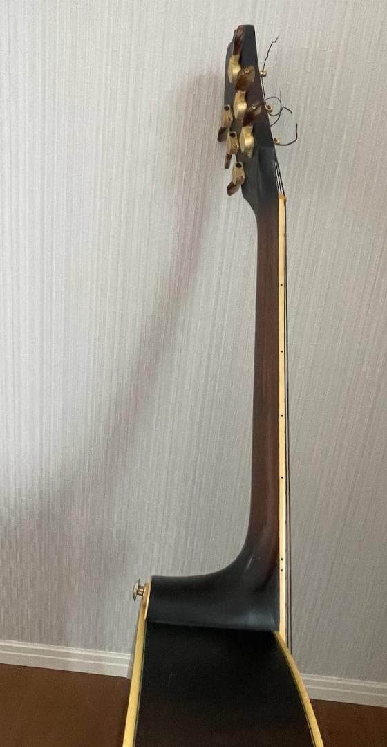 Ibanez AEL125ERD エレアコ ブラック